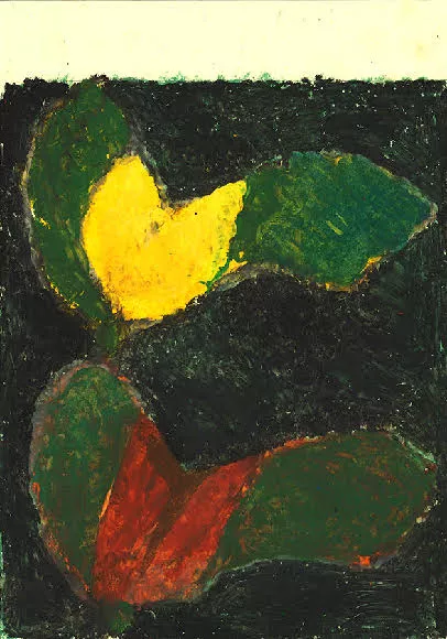yellow tulip and red tulip